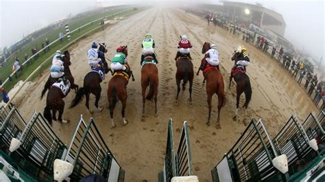 Preakness Stakes Best Bets: Expert Picks to Win, .